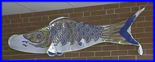 fish.jpg (23042 bytes)